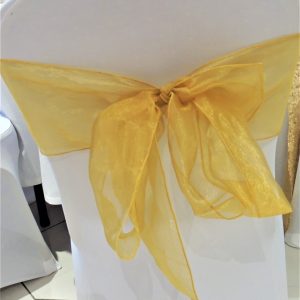 Noeuds de chaise Organza